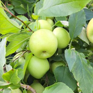 WhatsApp Image 2026-03-23 at 13.01.39